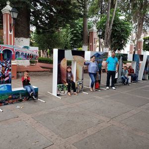 Meet your Posher, Diana